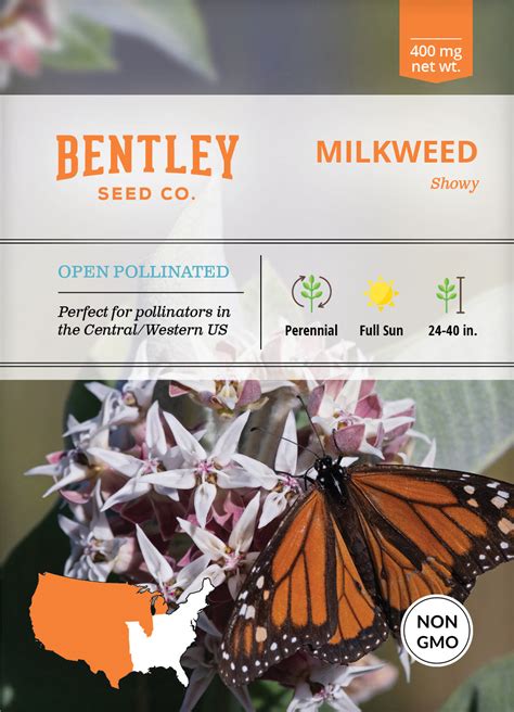 Milkweed Showy Seed Packets Bentley Seeds