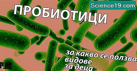 Бактерии Определение видове и примери Научно Популярен Мултимедиен