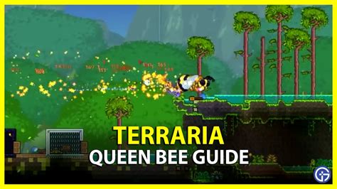 Terraria Queen Bee How To Summon And Beat Boss Gamer Tweak