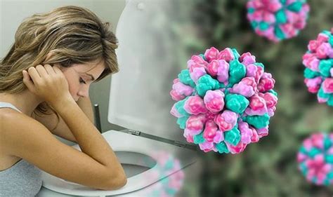 Norovirus Symptoms How Do You Know If You Have Norovirus Outbreak