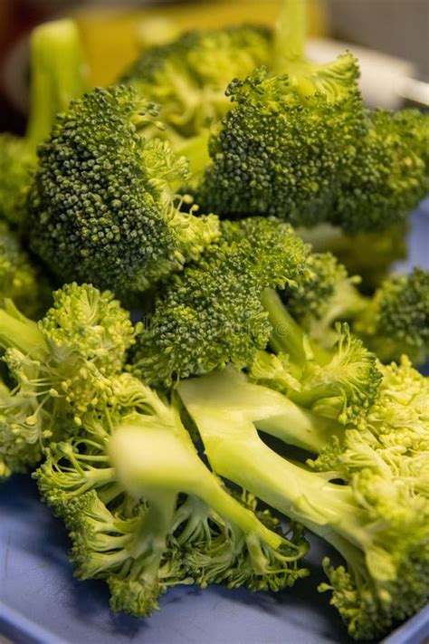 Fresh Raw Broccoli Stock Photo Image Of Vegetable Chef 272144170