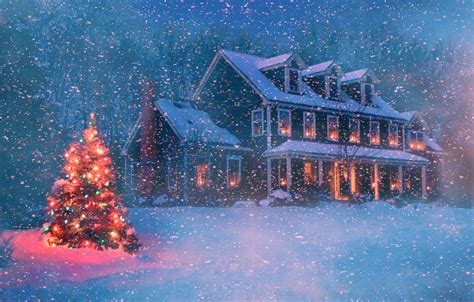 Wallpaper Winter Forest Snow Trees Snowflakes Night Lights House