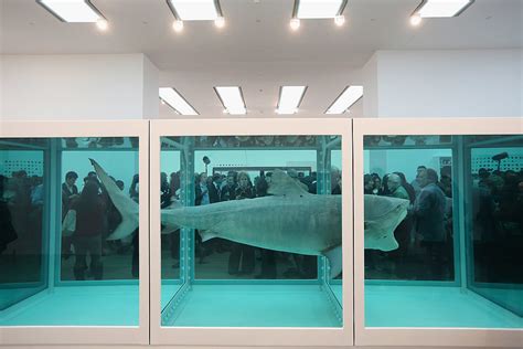 How Many Animals Have Died For Damien Hirsts Art To Live We Counted