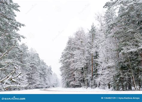 Snowy Frozen Winter Road Monochrome Winter Forest Landscape Stock