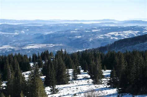 Winter Panoramic Landscape Stock Photo Image Of Landscape 49060876