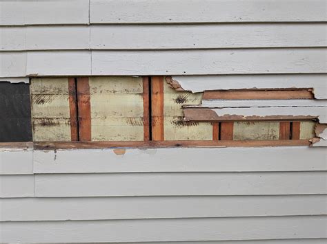 Anyone Know Whats Going On Here This Is Behind My Siding Homebuilding