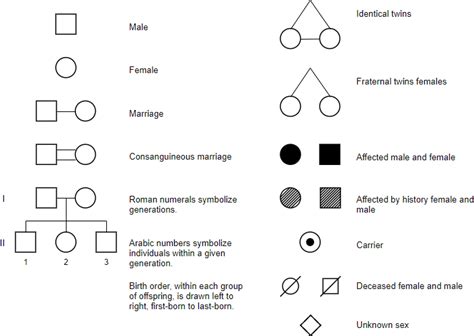 Genetic Pedigree Symbols