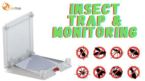 Insect Trap And Monitor Professional Bug Trap Insect Glue Trap