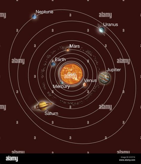 The Eight Planets In Orbit