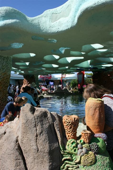 Best Aquariums And Touch Pools Sea World San Diego