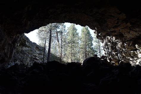 Hidden Forest Cave In Oregon Hidden Forest Forest Oregon