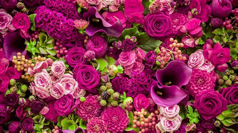 Bouquet De Fleurs Roses Belle Hd Fond Décran Télécharger