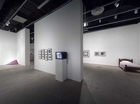 Installation View Of The Exhibition Artists Choice Mona Hatoum Here