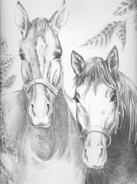 Ausmalbilder pferde für erwachsene kostenlos zum ausdrucken. Pferde Ausmalbilder für Erwachsene kostenlos zum ...