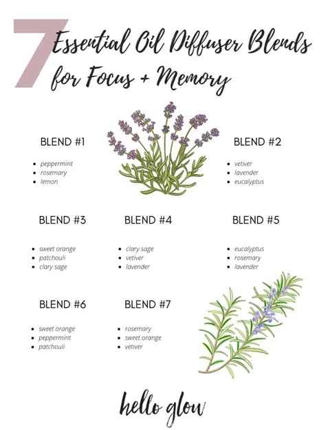 The Best Essential Oils For Focus 7 Diffuser Blends Hello Glow