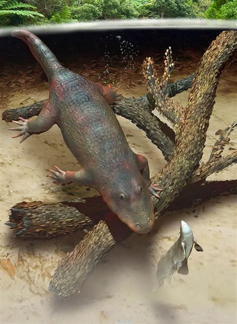 Eryops Dinosaurs Pictures And Facts