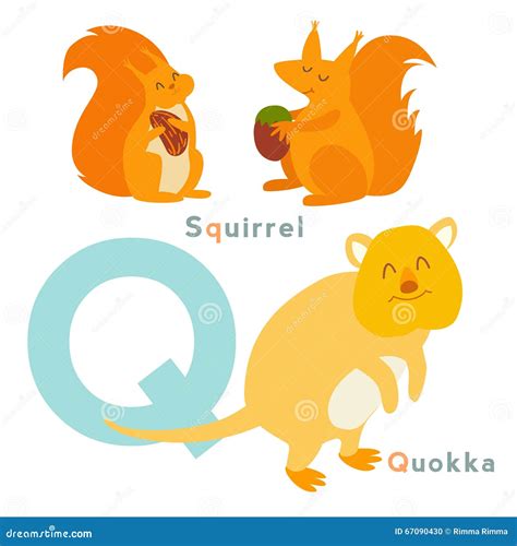Animales De La Letra De Q Fijados Alfabeto Inglés Ilustración Del