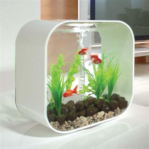 Since both parasites cause white spots on the fish, the disease is universally called ich or ick, even though they are a saltwater ich fish outbreak in a marine or reef aquarium is a serious matter. BiOrb Life 30L White Aquarium with Intelligent LED Lighting