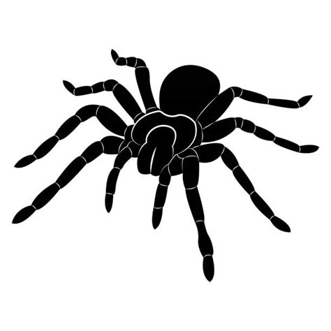 White Tarantula Png Desktop Information Sparkles Purple Text Png