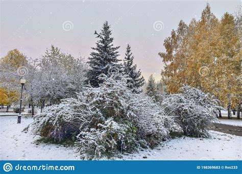 First Snowfall In Autumn City Park Stock Image Image Of October