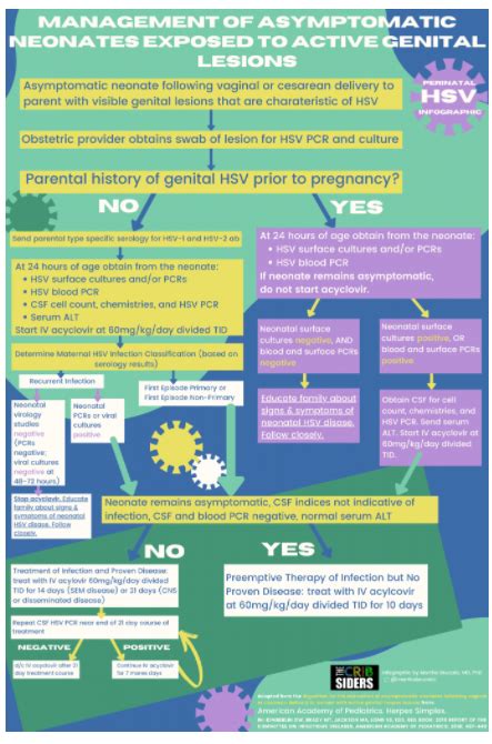 What Is Herpes Simplex Virus