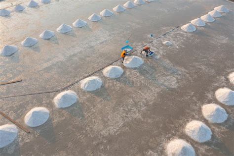 Aerial Top View Of Farmers Making Heaps Of Raw Sea Salt Piles With Sea