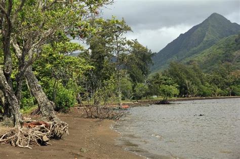 Black Sand Beach Picture Of Oahu Photography Tours Honolulu