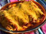 Red Chicken Enchilada Recipe Photos