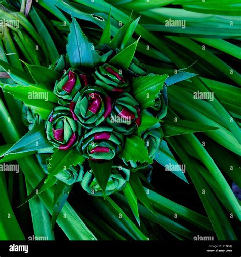 Bouquet Of Flowers Made Of Pandanus Leaf Hi Res Stock Photography And