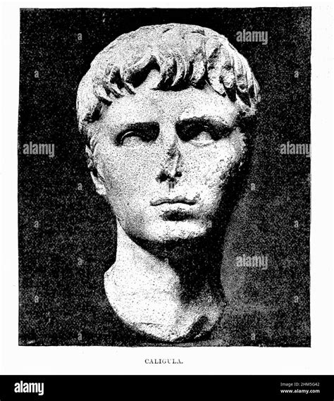 Portrait Of Emperor Caligula British Engraving Xix Th Century Stock