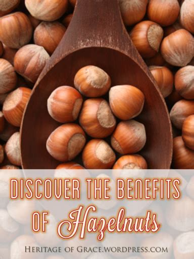 Discover The Benefits Of Hazelnuts Food Hazelnut Fruit And Veg