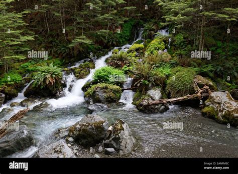 Water Cascades Over Mossy Green Rocks Splitting Into Different