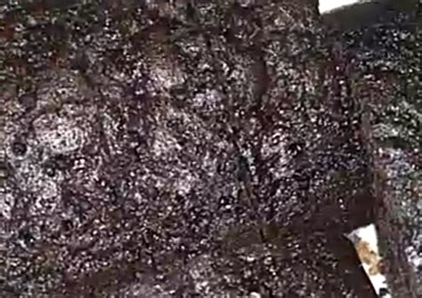 120 gram telur (bisa pakai 2 telur ayam ukuran besar) 3. Resep Brownies 1 Telur - Resep Brownies Kukus Lapis Coklat 1 Telur Super Moist Lezat - 8 resep ...