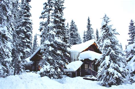 Wallpaper House Forest Winter Snow 5184x3456 Wallhaven 1188031