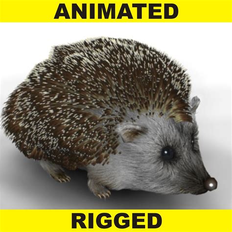 Hedgehog 3d Models Download Free3d