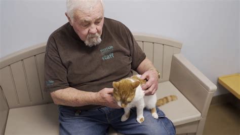 Jake's place cat rescue is a ca nonprofit 501c3. The Rescue Village Cat Program - YouTube