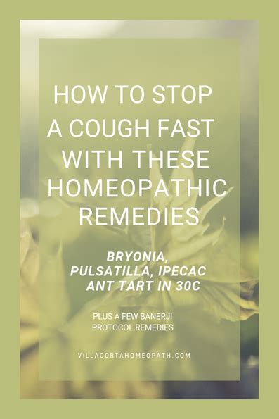 Homeopathic Remedies For Cough And Congestion Homeopathic Remedies