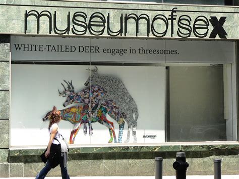 A More Stimulating Museum Experience The Museum Of Sex Love Travel