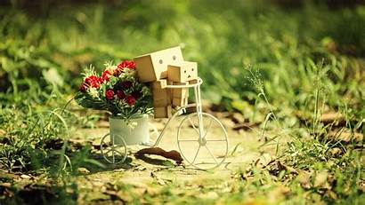 Danbo Wallpapers Bicycle 1080 1920