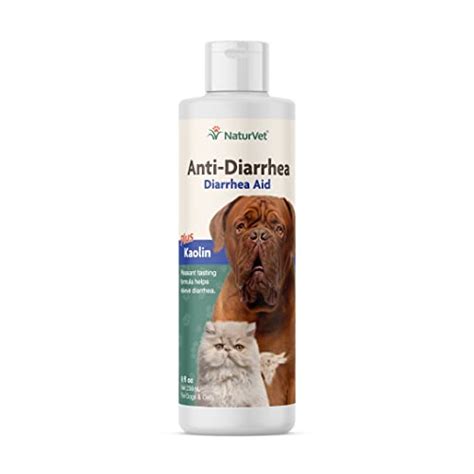 Finding The Best Dog Diarrhea Treatment The Benefits Of Anti Diarrheal
