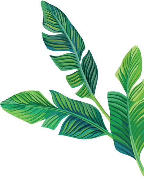 Aesthetic Leaf Png Isolated File Png Mart