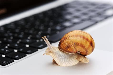Here are the top 10 reasons why computers become slow. Tired of Your Computer Running Slow? 5 Common Reasons and ...