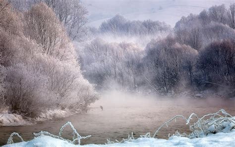517723 Landscape Photography Nature River Forest Winter Frost Snow