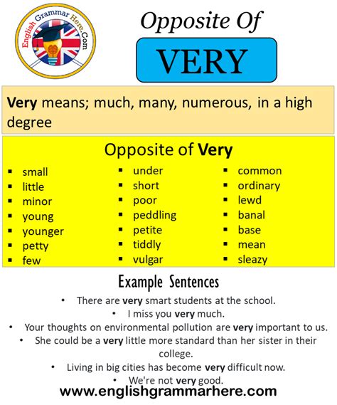 Antonyms Examples