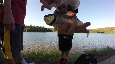 Oregon fishing lakes is the most complete fishing directory on fishable lakes in oregon. Jubilee Lake Oregon Trout Fishing - YouTube