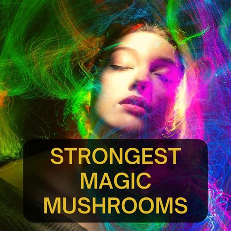 Strong Magic Mushrooms The Headshop Amsterdam