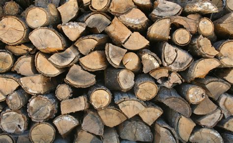Free Images Plant Wood Texture Trunk Chopped Pile Pattern