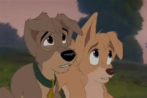 Scamp And Angel Disneys Couples Image 19526653 Fanpop