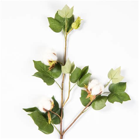 Green Cotton Stem Magnolia Chip And Joanna Gaines