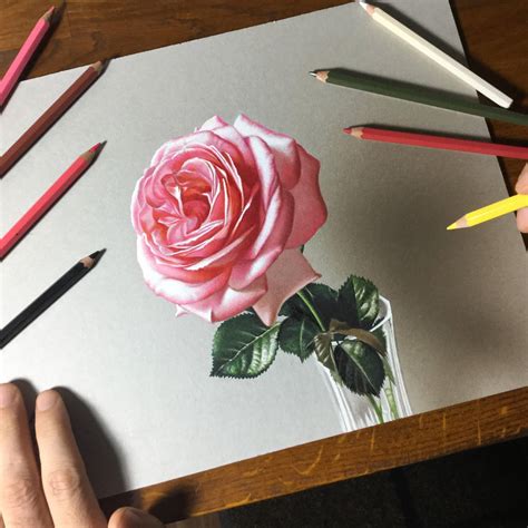 Drawing Rose Flower By Marcellobarenghi On Deviantart